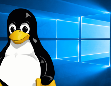 Linux and Windows